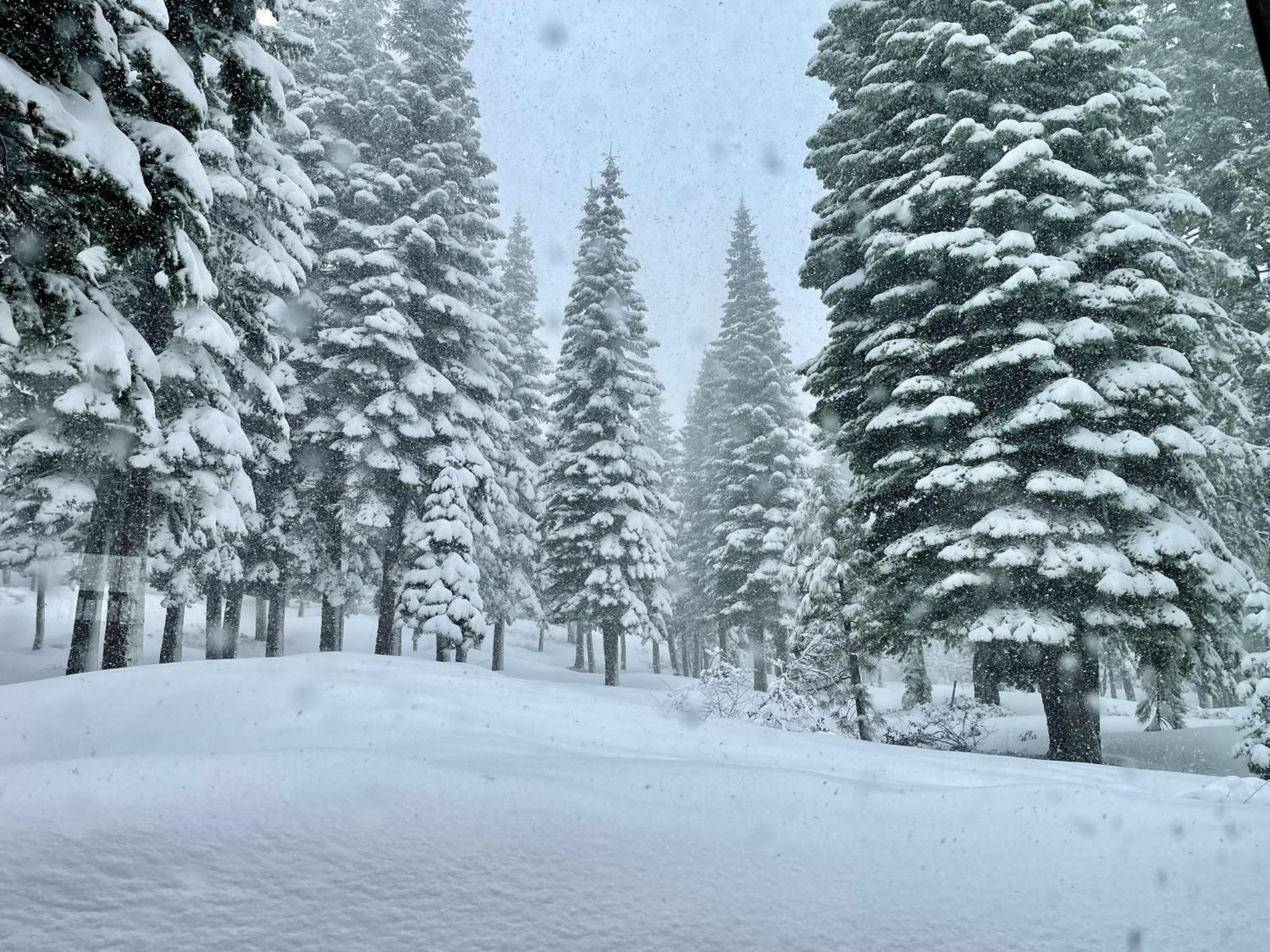 Bear Meadows Lodge - Hot Tub - Tahoe Donner Home Truckee Esterno foto